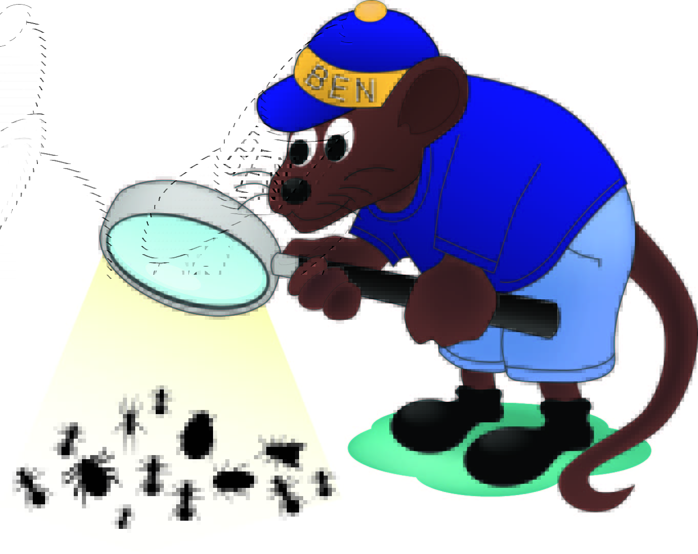 Willard's Pest Control