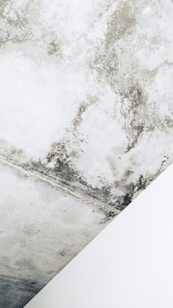 BLack model on ceiling